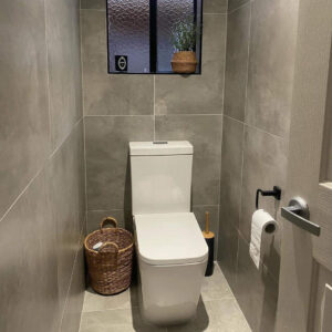 Cheap Siphonic One Piece Toilet